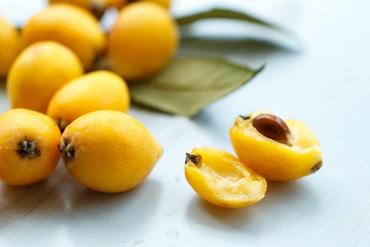 Loquat