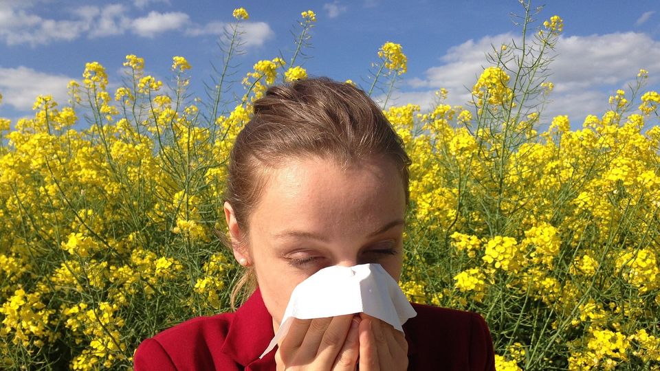 allergy